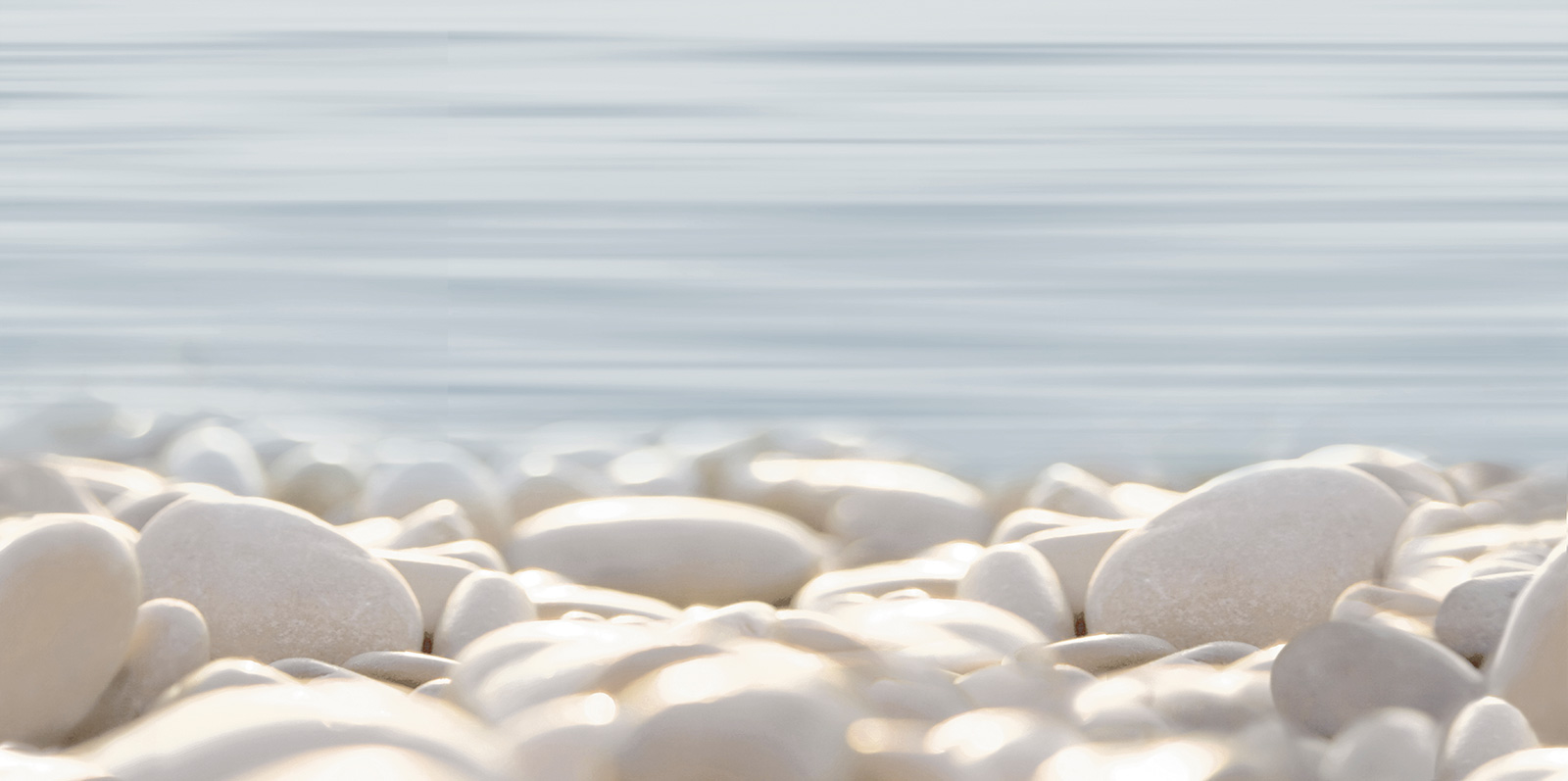 Alma Del Mare 25х50 DWU09DLM604 Декор