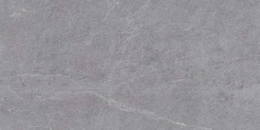 Staro Silk Alpine Gris Matt 60x120 Керамогранит