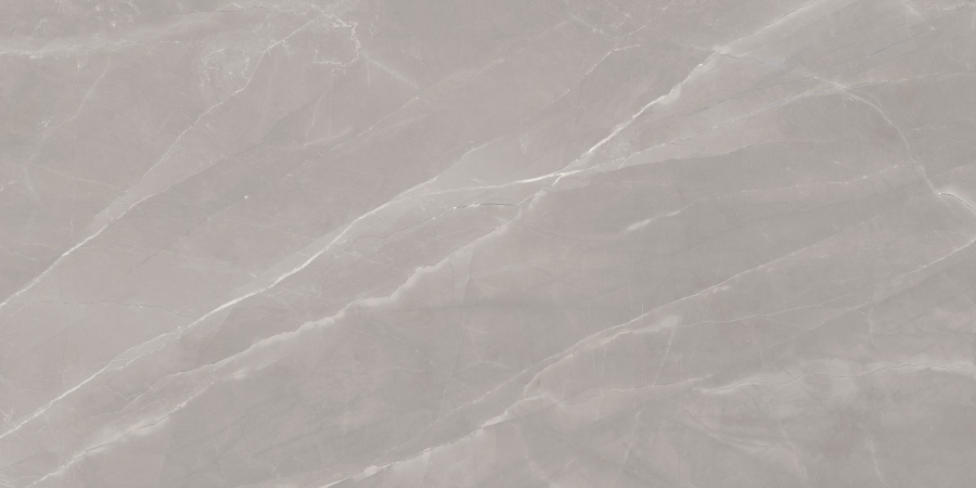 STN Tango Grey Satin 60x120 Керамогранит