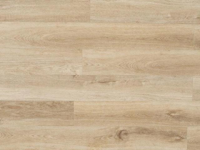 My Step SPC Aqua 5 MSA37 Torne