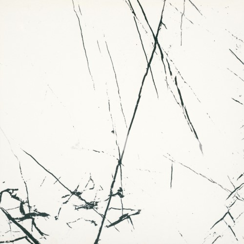 Bien Agatha White Rec Full Lappato 60х60 BIEN0007 Керамогранит глазурованный