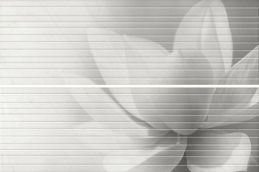 Kerama Marazzi Борсари HGD\A200\2x\12102R Mat. 50x75 (2 части 25x75) Панно