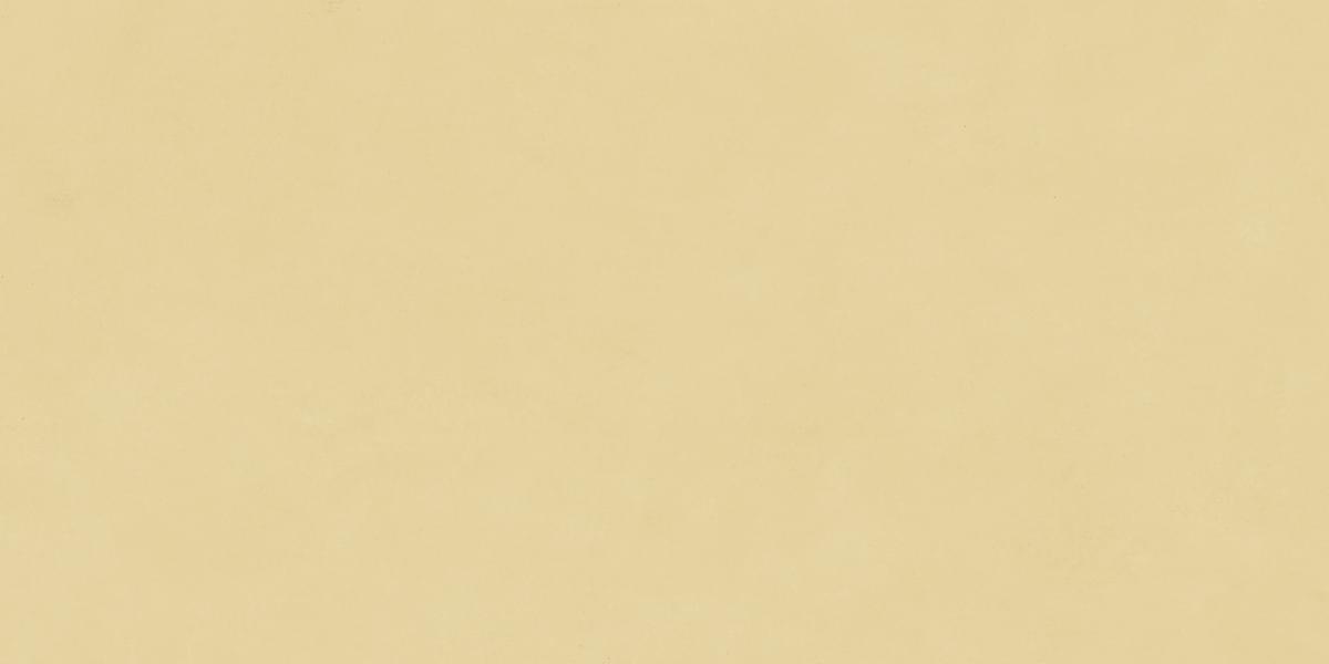 Neodom Design Colors Blossom Sun Matt 60x120 Керамогранит