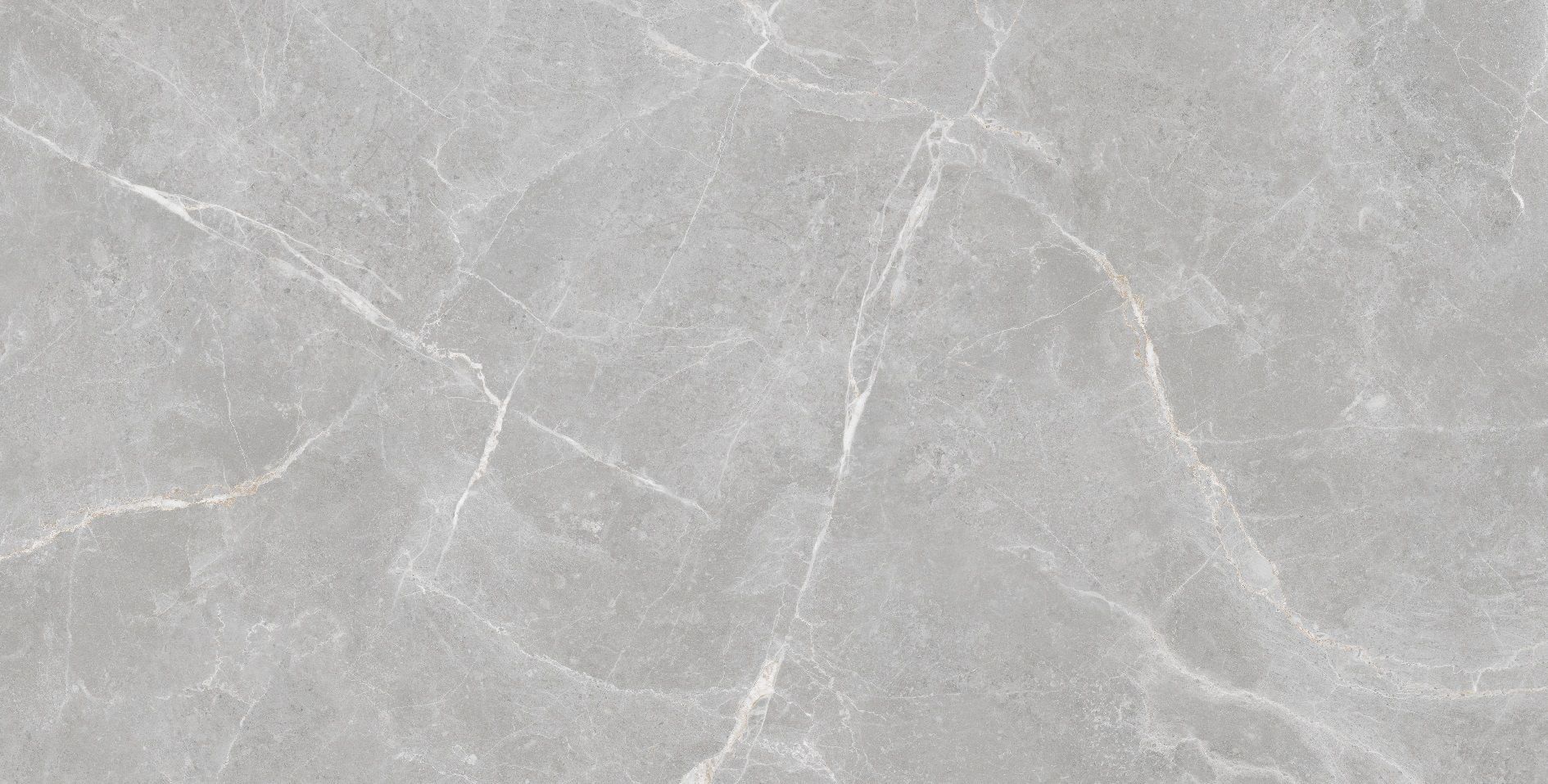 Staro Rizzi Patricia Grey Matt 60x120 Керамогранит