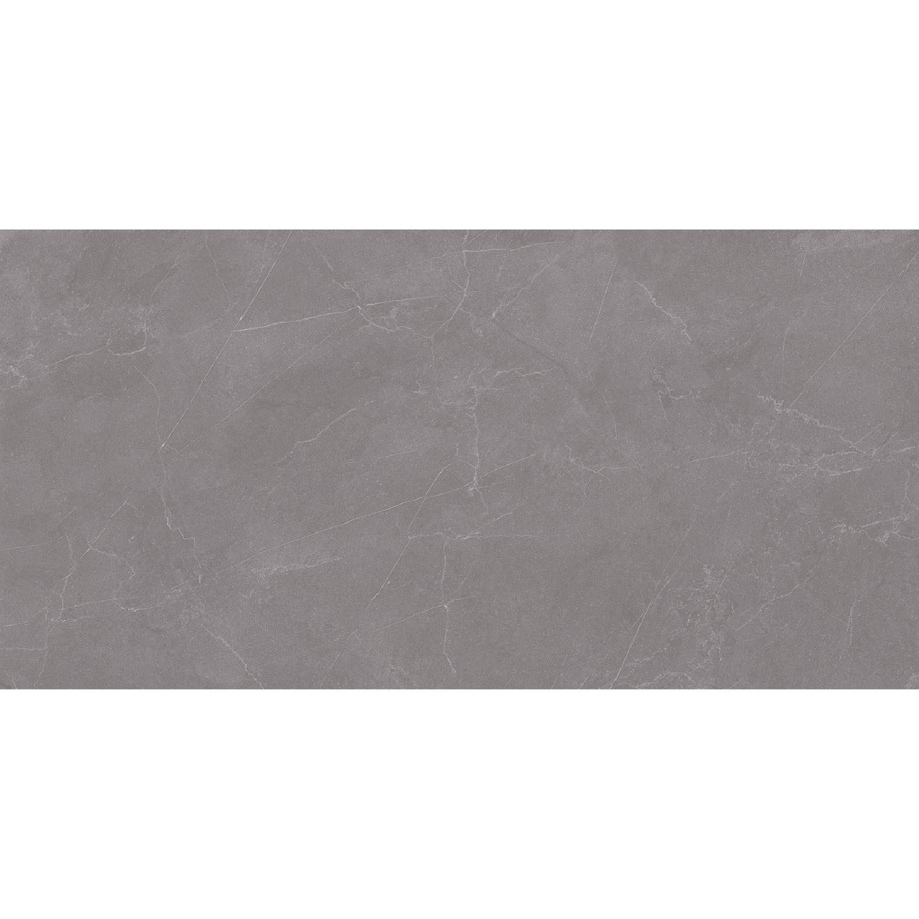 Staro Rizzi Valencia Grey Matt 60x120 Керамогранит