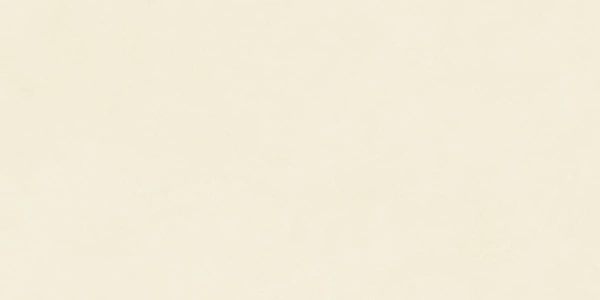 Neodom Design Colors Blossom Salix Matt 60x120 Керамогранит