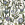 Mainzu Cinque Terre Mural Protea 120x120 Панно