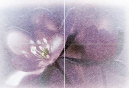 Alma Lila 45х72,5 PWU07LIL1 Панно (4шт) 