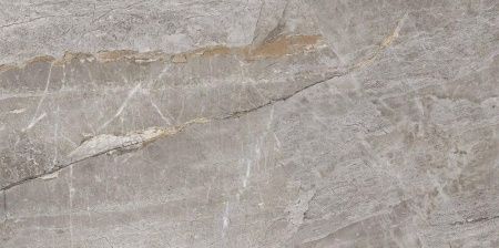 Primavera Essence Grey Pol. 60x120 Керамогранит