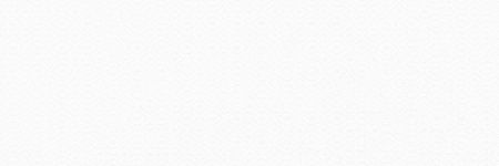 Alma Vilona 20x60 TWU11VLN000 Плитка настенная