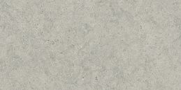 Italon Forum Stone Silver 60x120 Керамогранит