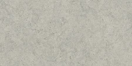 Italon Forum Stone Silver 60x120 Керамогранит