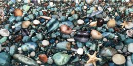 Alma Riviera 25х50 DWU09RVR024 Декор коричневый