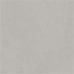 Infinity Ceramica Parco Gris Base Matt 60x60 Керамогранит