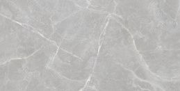 Staro Rizzi Patricia Grey Matt 60x120 Керамогранит