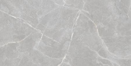 Staro Rizzi Patricia Grey Matt 60x120 Керамогранит