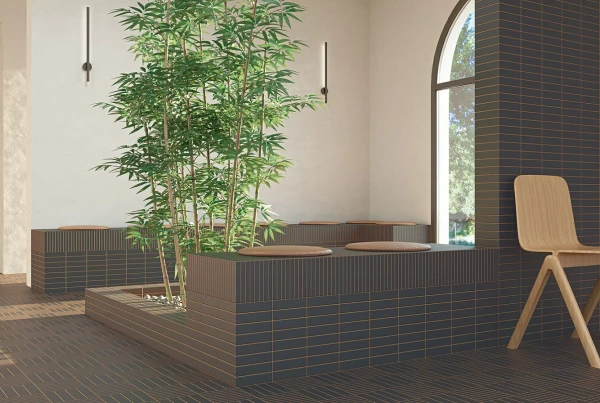 Коллекция Raster