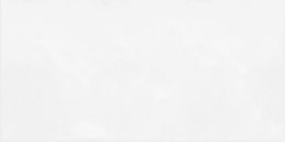 Alma Monocolor 25х50 TWU09MNR020 Плитка облицовочная