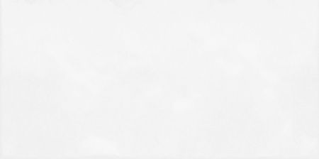 Alma Monocolor 25х50 TWU09MNR020 Плитка облицовочная