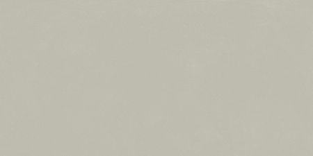 Italon Forum Slim Silver 60x120 Керамогранит