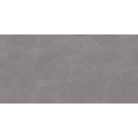 Staro Rizzi Valencia Grey Matt 60x120 Керамогранит
