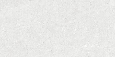 Neodom Stonhenge Grey Matt 60x120 Керамогранит