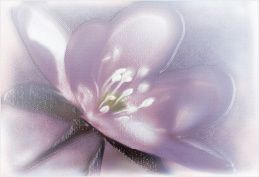 Alma Lila 25х36 DWU07LIL023 Декор фиолетовый