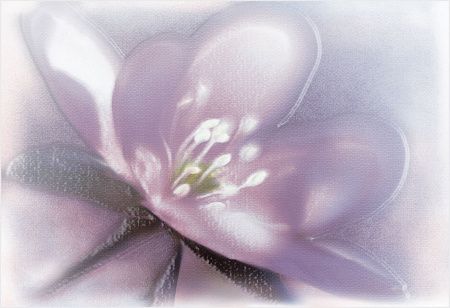 Alma Lila 25х36 DWU07LIL023 Декор фиолетовый