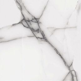 ITC (Индия) Moon Onyx Grey Glossy 60x60 Керамогранит