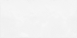 Alma Monocolor 25х50 TWU09MNR030 Плитка облицовочная, рельефная белая