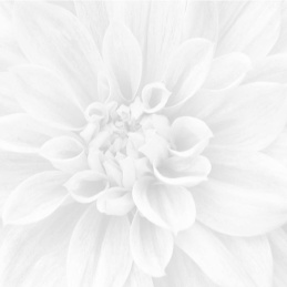 Laparet Crisantemo (комп. из 3 шт) 60x60x9 Панно