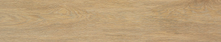 STN Tacora Camel Matt Ret. 23х120 Керамогранит